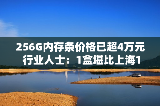 256G内存条价格已超4万元 行业人士：1盒堪比上海1套房