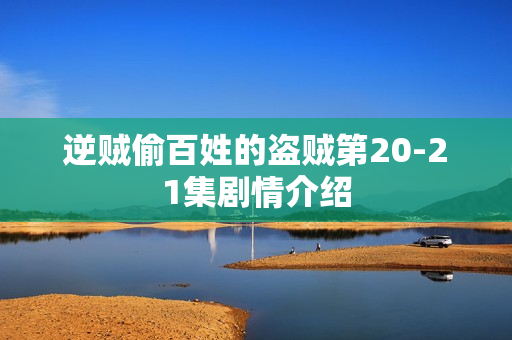 逆贼偷百姓的盗贼第20-21集剧情介绍