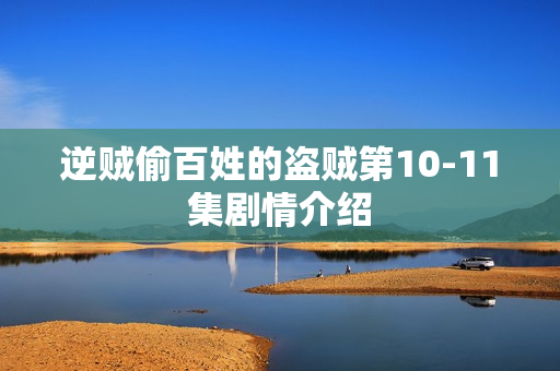 逆贼偷百姓的盗贼第10-11集剧情介绍