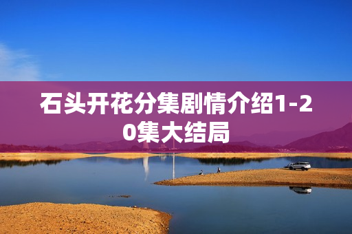 石头开花分集剧情介绍1-20集大结局