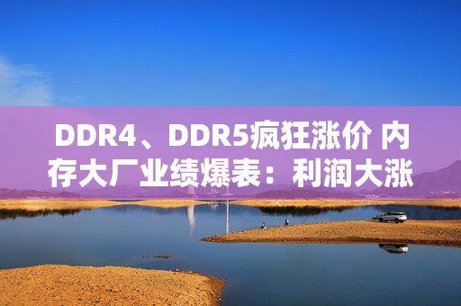 DDR4、DDR5疯狂涨价 内存大厂业绩爆表：利润大涨1500%!