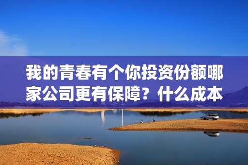 我的青春有个你投资份额哪家公司更有保障？什么成本？投资收益多少？(我的青春有个你演员表)