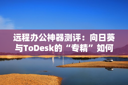 远程办公神器测评：向日葵与ToDesk的“专精”如何？