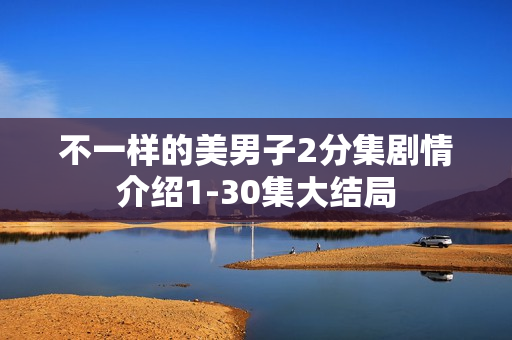 不一样的美男子2分集剧情介绍1-30集大结局