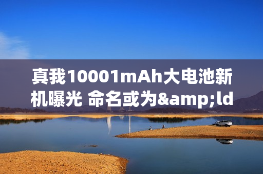 真我10001mAh大电池新机曝光 命名或为&ldquo;真我Power&rdquo;