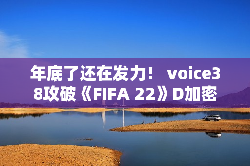 年底了还在发力！ voice38攻破《FIFA 22》D加密