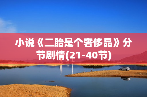 小说《二胎是个奢侈品》分节剧情(21-40节)