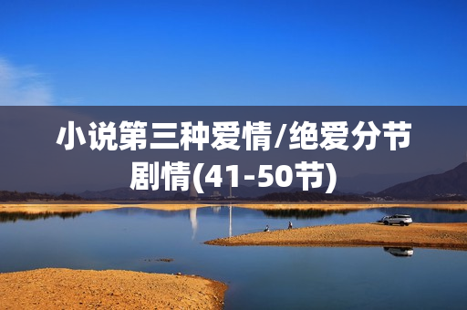 小说第三种爱情/绝爱分节剧情(41-50节)