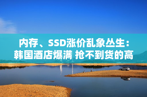 内存、SSD涨价乱象丛生：韩国酒店爆满 抢不到货的高管会被开除