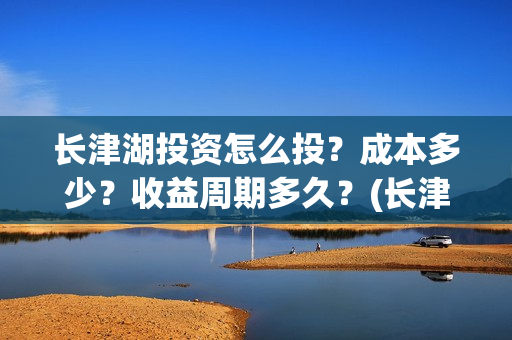 长津湖投资怎么投？成本多少？收益周期多久？(长津湖投资太大估计亏本)