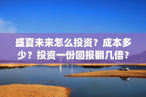 盛夏未来怎么投资？成本多少？投资一份回报翻几倍？(盛夏未来怎么买票)