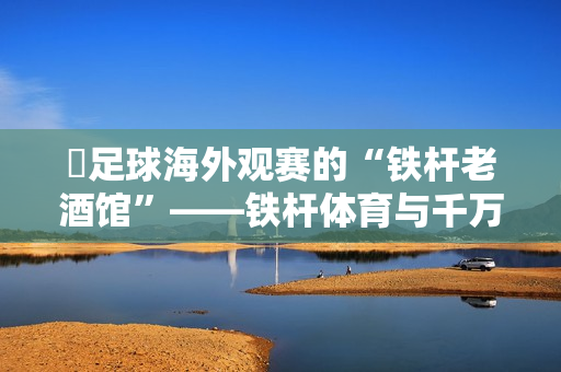 ​足球海外观赛的“铁杆老酒馆”——铁杆体育与千万球迷的十年