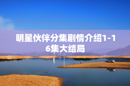 明星伙伴分集剧情介绍1-16集大结局