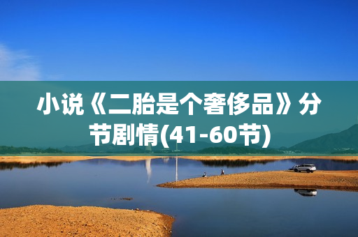 小说《二胎是个奢侈品》分节剧情(41-60节)