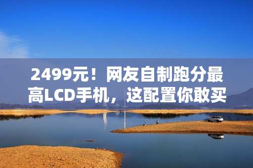 2499元！网友自制跑分最高LCD手机，这配置你敢买吗？