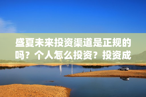 盛夏未来投资渠道是正规的吗？个人怎么投资？投资成本是多少？(盛夏未来能投吗)
