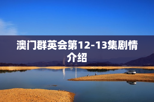 澳门群英会第12-13集剧情介绍