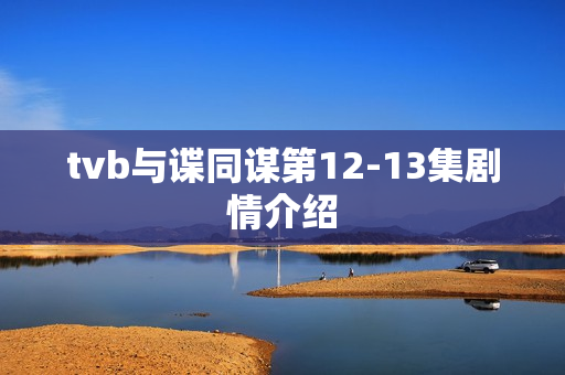 tvb与谍同谋第12-13集剧情介绍