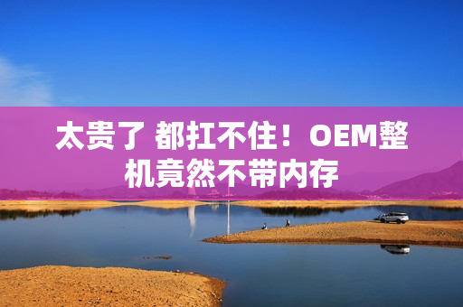 太贵了 都扛不住！OEM整机竟然不带内存