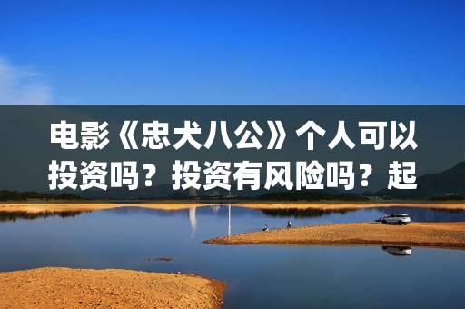 电影《忠犬八公》个人可以投资吗？投资有风险吗？起投门槛是多少？(电影《忠犬八公》免费的)