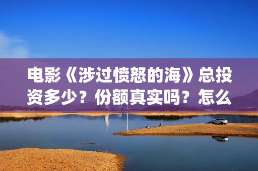 电影《涉过愤怒的海》总投资多少？份额真实吗？怎么参与投资？成本多少？(电影涉过愤怒的海演员表)