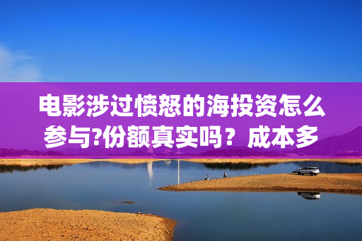 电影涉过愤怒的海投资怎么参与?份额真实吗？成本多少？(电影涉过愤怒的海演员表)
