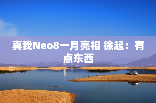 真我Neo8一月亮相 徐起：有点东西
