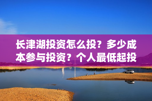 长津湖投资怎么投？多少成本参与投资？个人最低起投多少？(长津湖投资了几个亿)