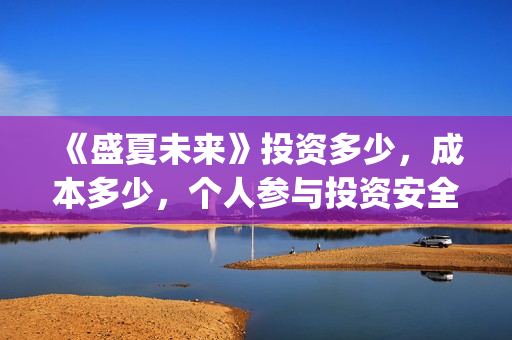 《盛夏未来》投资多少，成本多少，个人参与投资安全吗？(电影:盛夏未来)