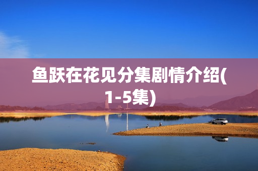 鱼跃在花见分集剧情介绍(1-5集)