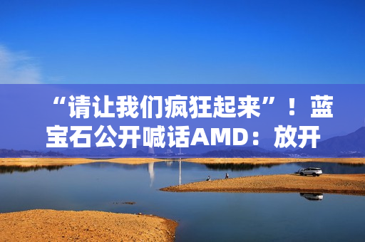 “请让我们疯狂起来”！蓝宝石公开喊话AMD：放开显卡限制