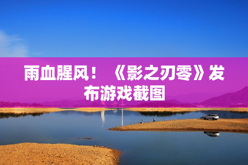 雨血腥风！ 《影之刃零》发布游戏截图