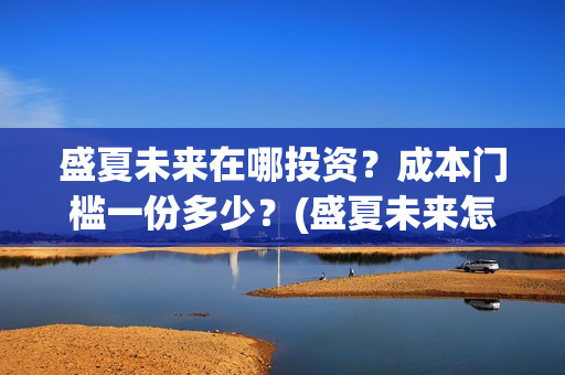 盛夏未来在哪投资？成本门槛一份多少？(盛夏未来怎么提前上映了)