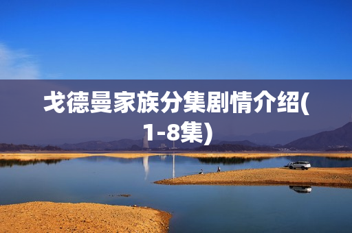 戈德曼家族分集剧情介绍(1-8集) 戈德曼家族分集剧情介绍(1-8集)