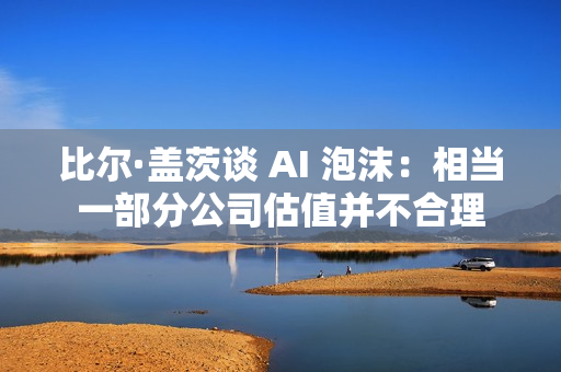 比尔·盖茨谈 AI 泡沫：相当一部分公司估值并不合理