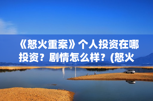 《怒火重案》个人投资在哪投资？剧情怎么样？(怒火重案太燃了)