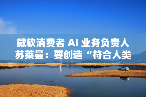 微软消费者 AI 业务负责人苏莱曼：要创造“符合人类利益”的超级智能