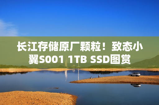 长江存储原厂颗粒！致态小翼S001 1TB SSD图赏