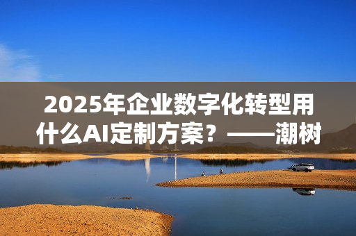 2025年企业数字化转型用什么AI定制方案？——潮树科技全面解析