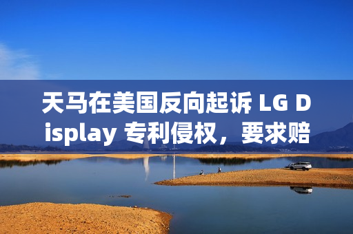 天马在美国反向起诉 LG Display 专利侵权，要求赔偿和产品禁令