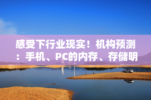 感受下行业现实！机构预测：手机、PC的内存、存储明年Q1至少涨幅30%！