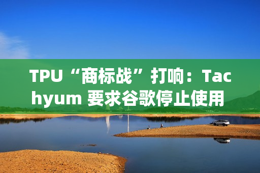 TPU“商标战”打响：Tachyum 要求谷歌停止使用 TPU 缩写