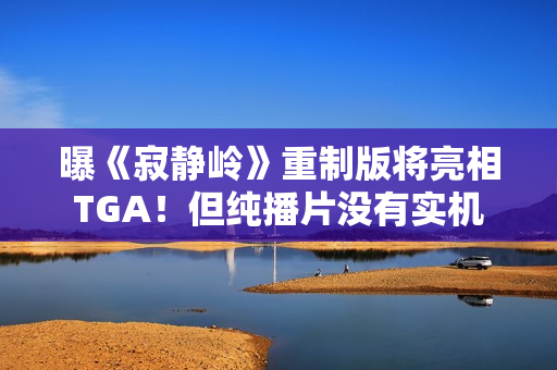 曝《寂静岭》重制版将亮相TGA！但纯播片没有实机