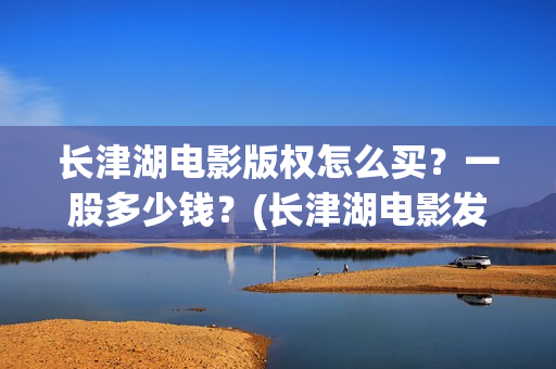 长津湖电影版权怎么买？一股多少钱？(长津湖电影发行)