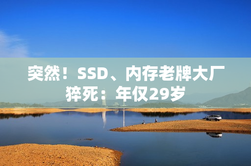 突然！SSD、内存老牌大厂猝死：年仅29岁