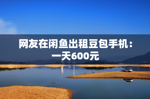 网友在闲鱼出租豆包手机：一天600元