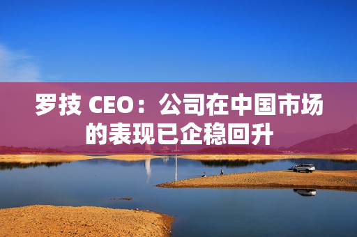 罗技 CEO：公司在中国市场的表现已企稳回升
