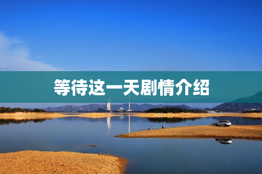 等待这一天剧情介绍