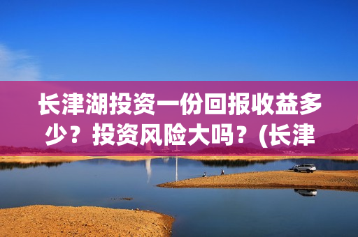 长津湖投资一份回报收益多少？投资风险大吗？(长津湖最大投资方)