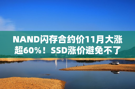 NAND闪存合约价11月大涨超60%！SSD涨价避免不了